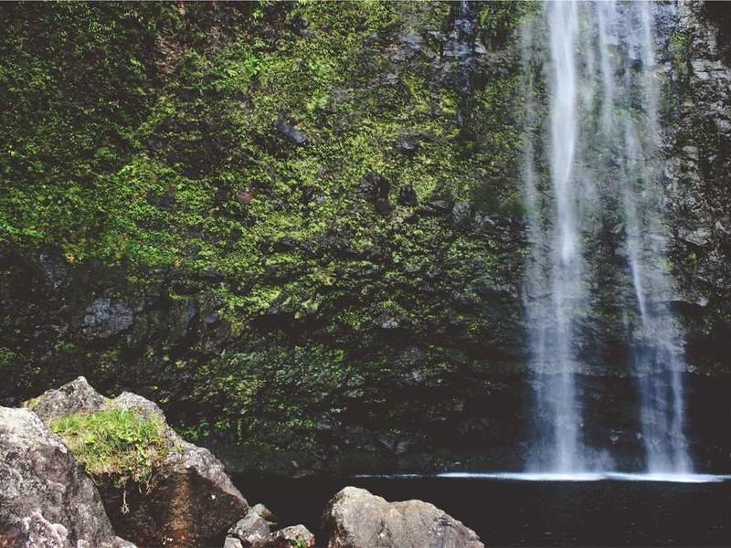 تکنولوژی‌های جدید در زیبایی