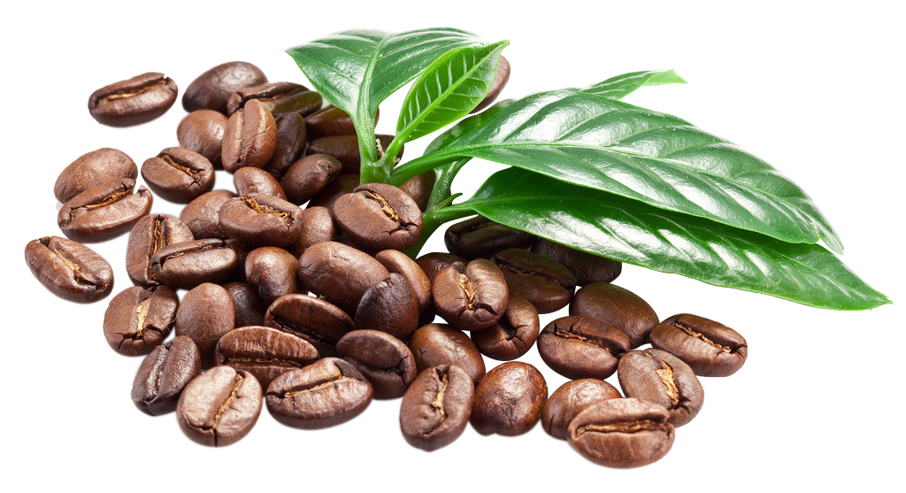قهوه لمیز