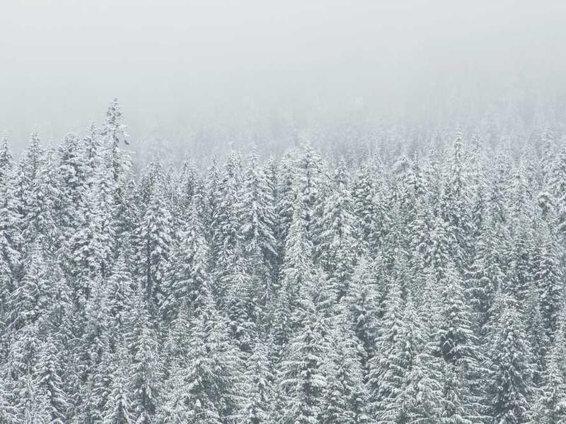 فواید و عوارض بوتاکس